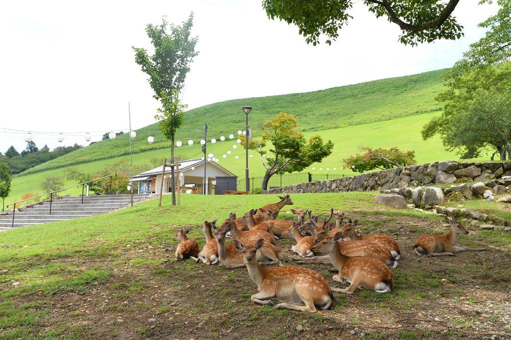 Kotonoyado Musashino Nara Exteriér fotografie