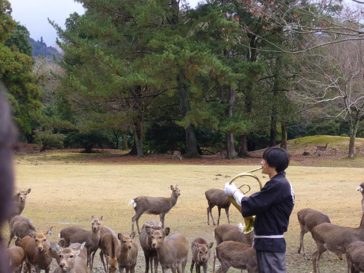 Kotonoyado Musashino Nara Exteriér fotografie